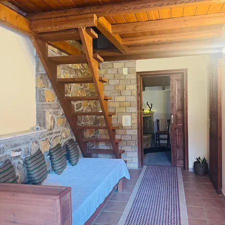 Cozy Nest Parnassos Chalet *